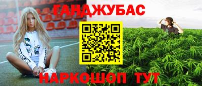 индика Усть-Джегута