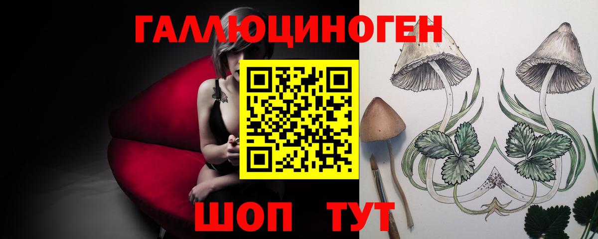 Галлюциногенные грибы Psilocybe  купить наркоту  Брянск  Вход с VPN 